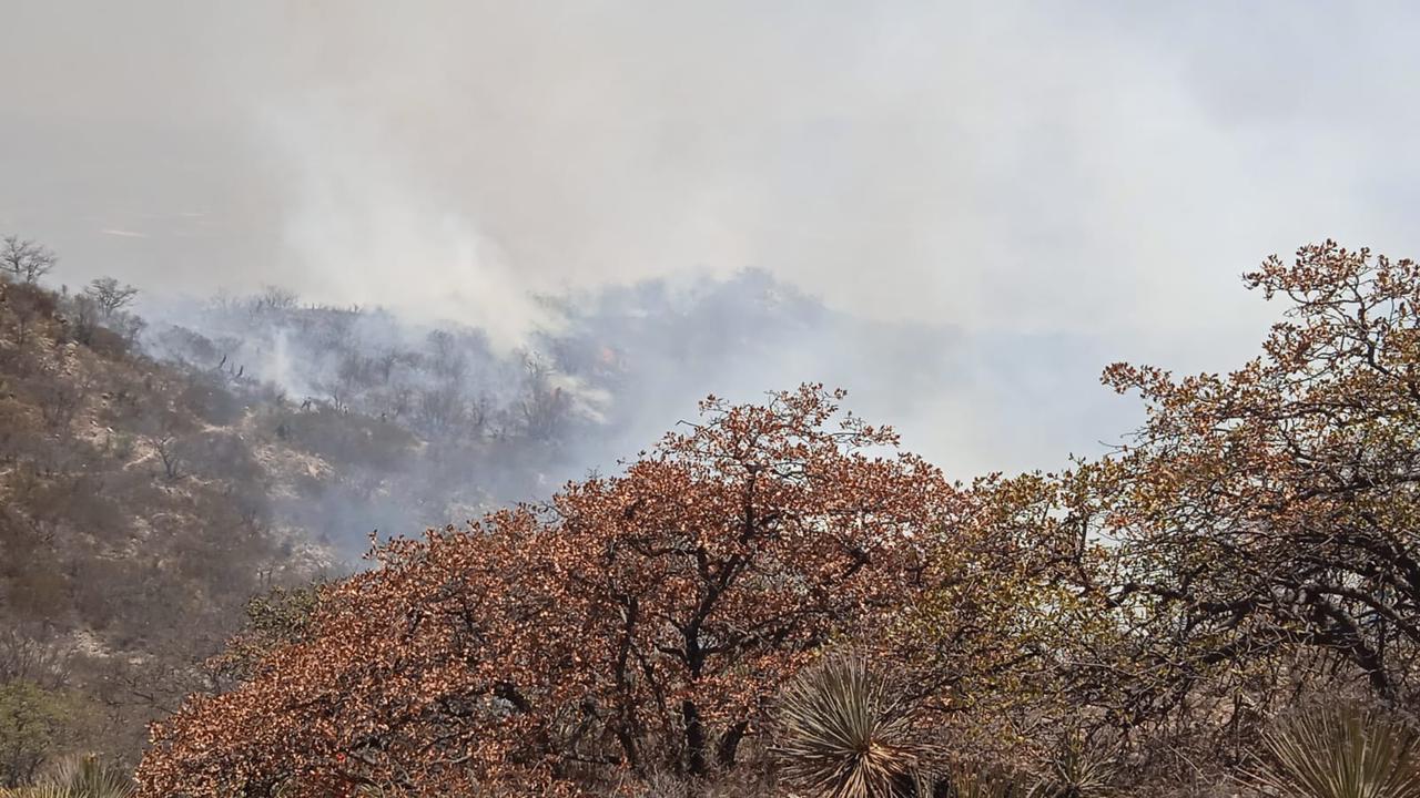 Incendio ha consumido 80 hectáreas de la Sierra de San Miguelito
