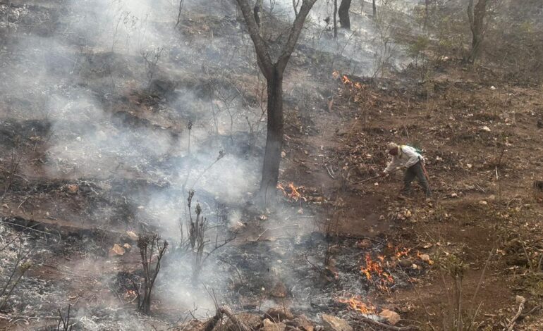 Se suma más personal y equipo en el combate al incendio forestal en Sta. María del Río