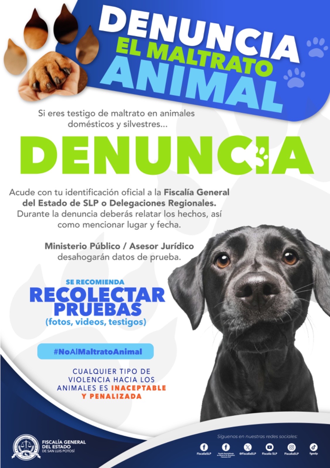 Fiscalía del Estado investiga caso de maltrato animal
