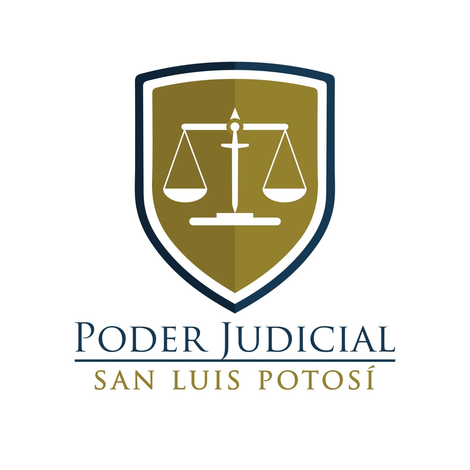 Más de 300 aspirantes a un cargo de elección judicial en SLP