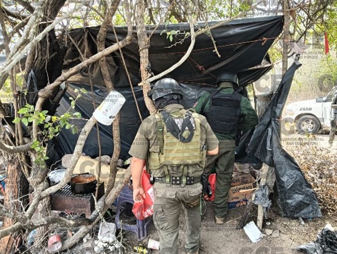 Desmantelan narcocampamentos en diversos municipios del estado