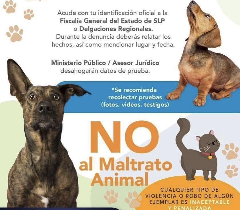 Investigan casos de maltrato animal en la capital y la Huasteca
