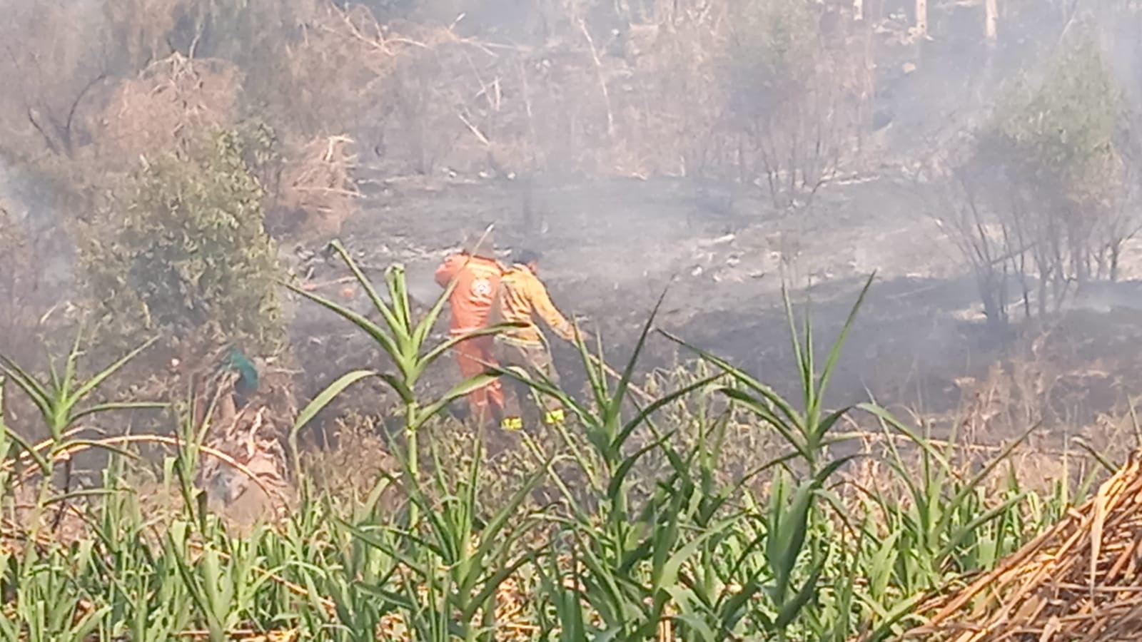 Controlan incendio de pastizales en Capulines