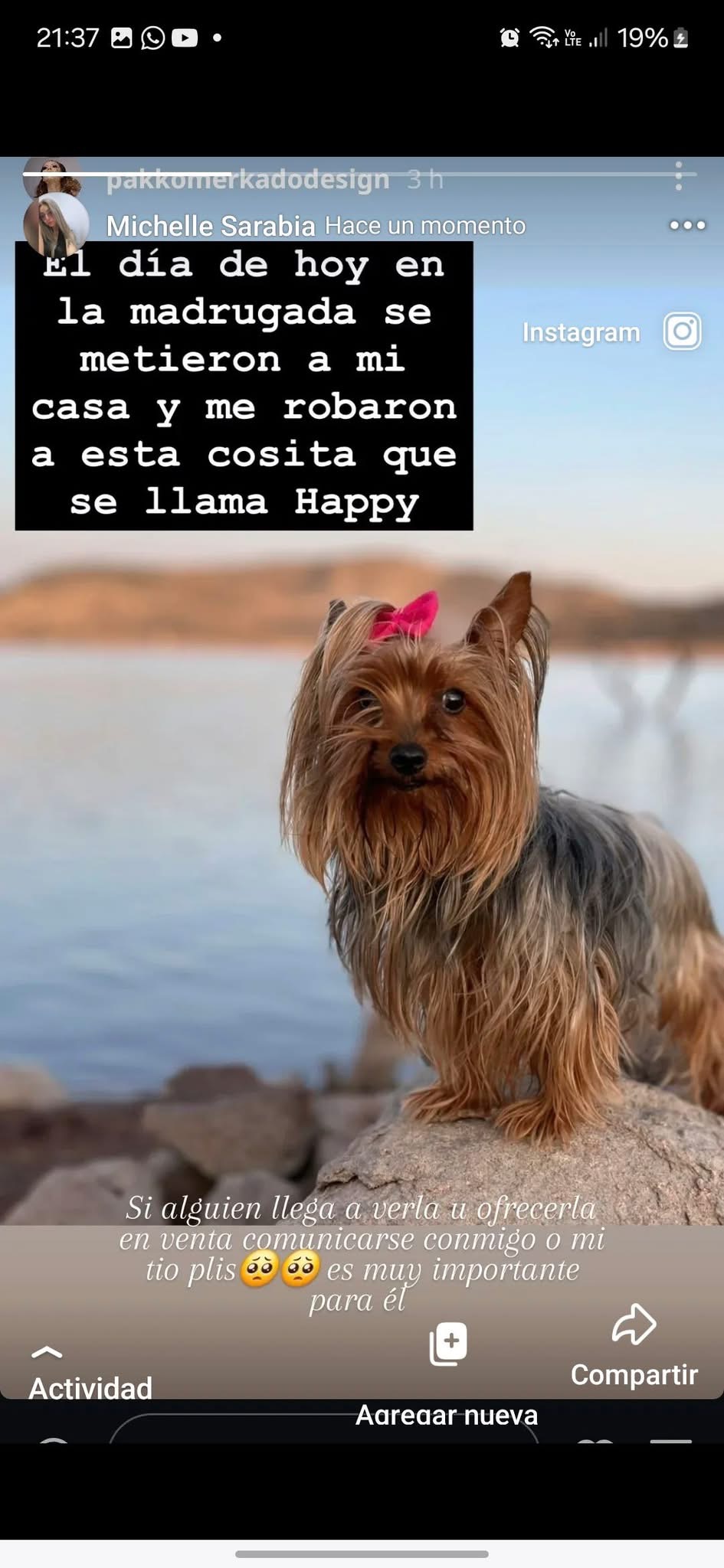 Roban a Happy: Fue extraída de su casa en Hogares Populares Pavón