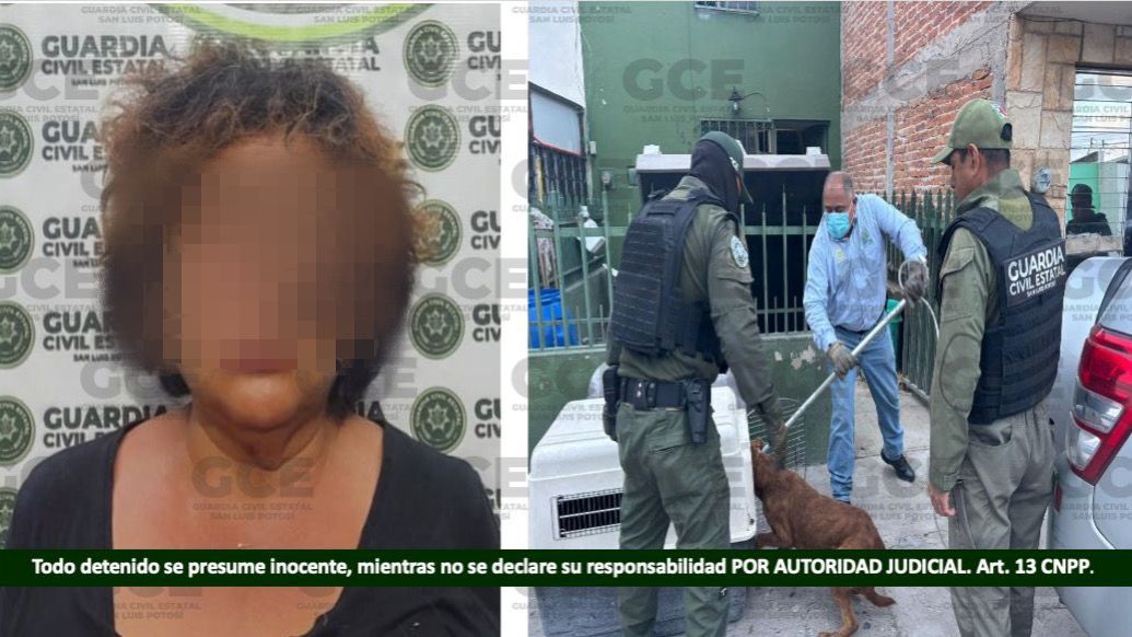 Detienen a mujer por caso de maltrato animal y rescatan a siete perros más