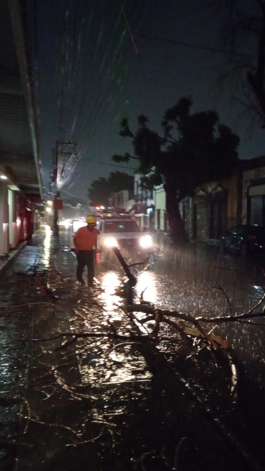Caída de árboles, bardas, automóviles averiados, saldo de lluvias de fin de semana