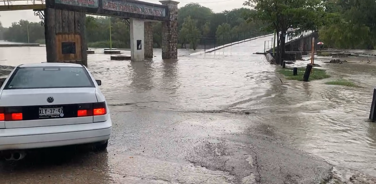 Lluvias dejan encharcamientos y caída de árboles en Cd. Valles