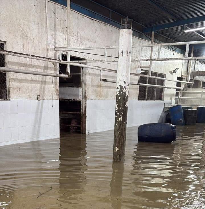 Colonias inundadas, familias evacuadas, crecidas de ríos y deslaves carreteros, dejan las lluvias en la Huasteca