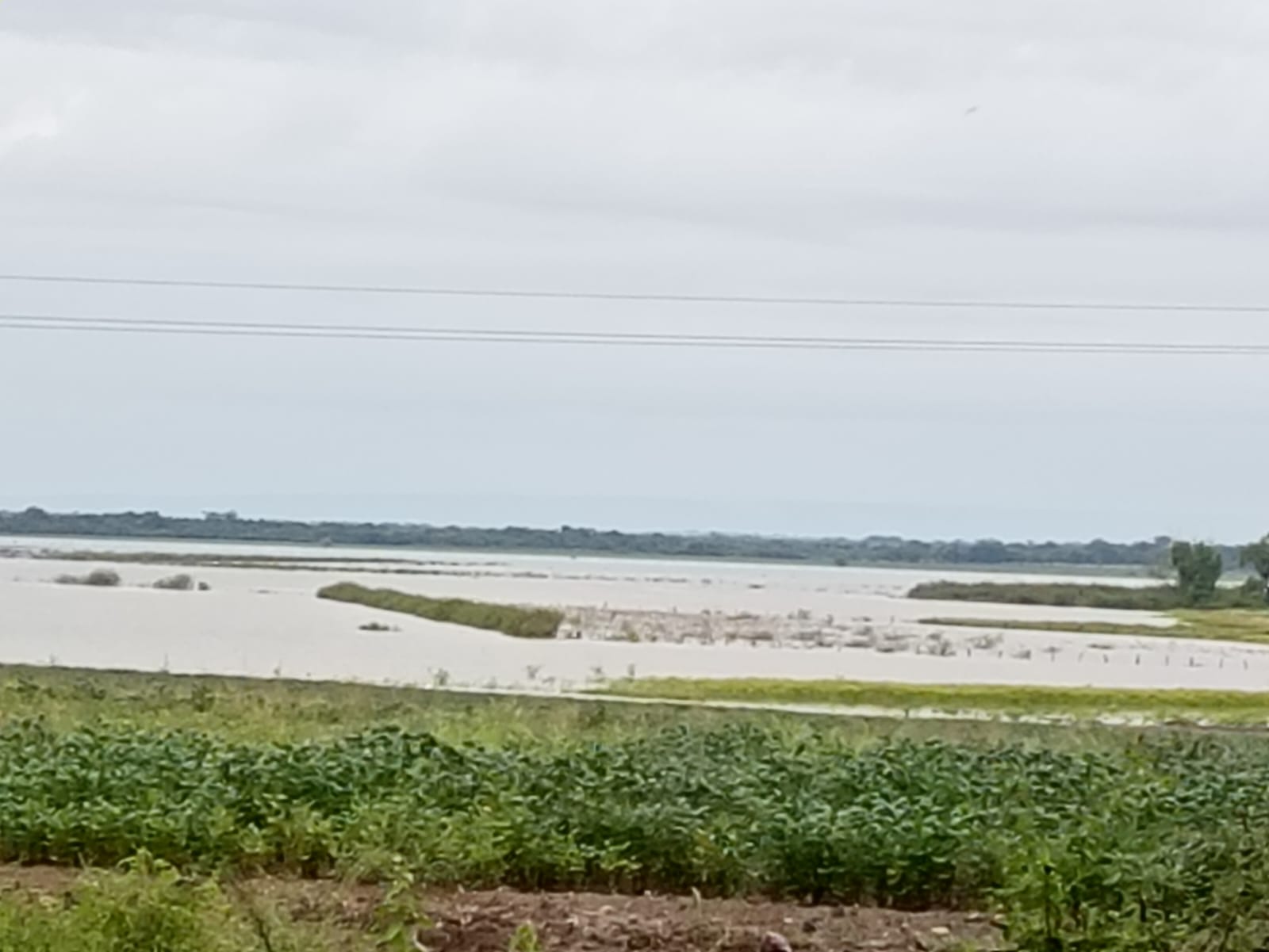 Más de mil 600 hectáreas de cultivos afectadas por inundaciones en la Huasteca