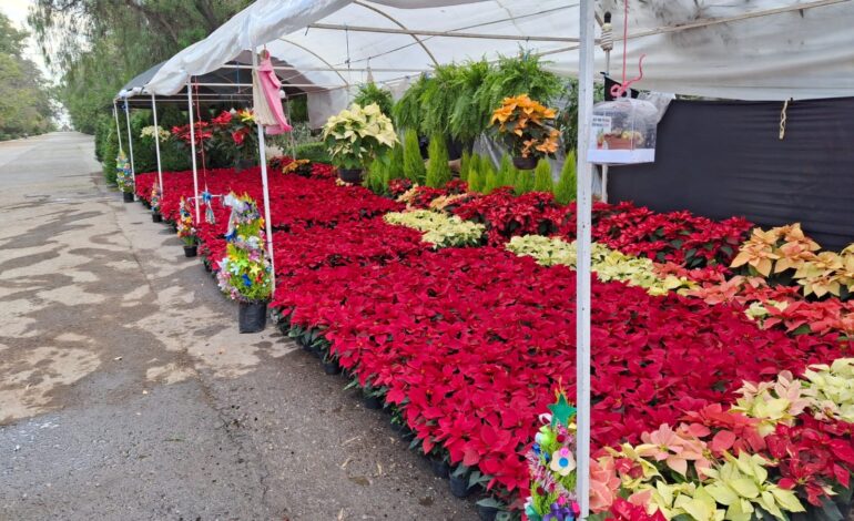 Expo Navideña ofrece grandes decoraciones para tu casa u oficina