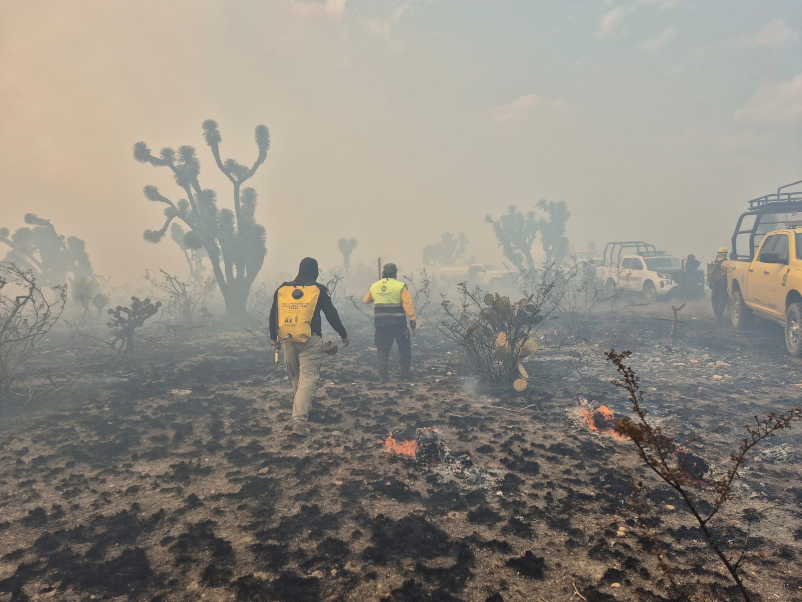 Incendio forestal daña más de mil hectáreas en Santo Domingo