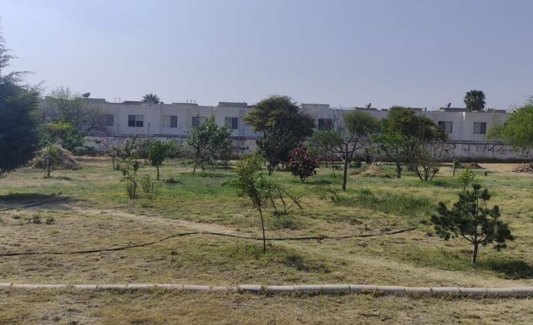 Vecinos de Puerta de Piedra exigen frenar subasta de predio para consolidar Bosque Urbano