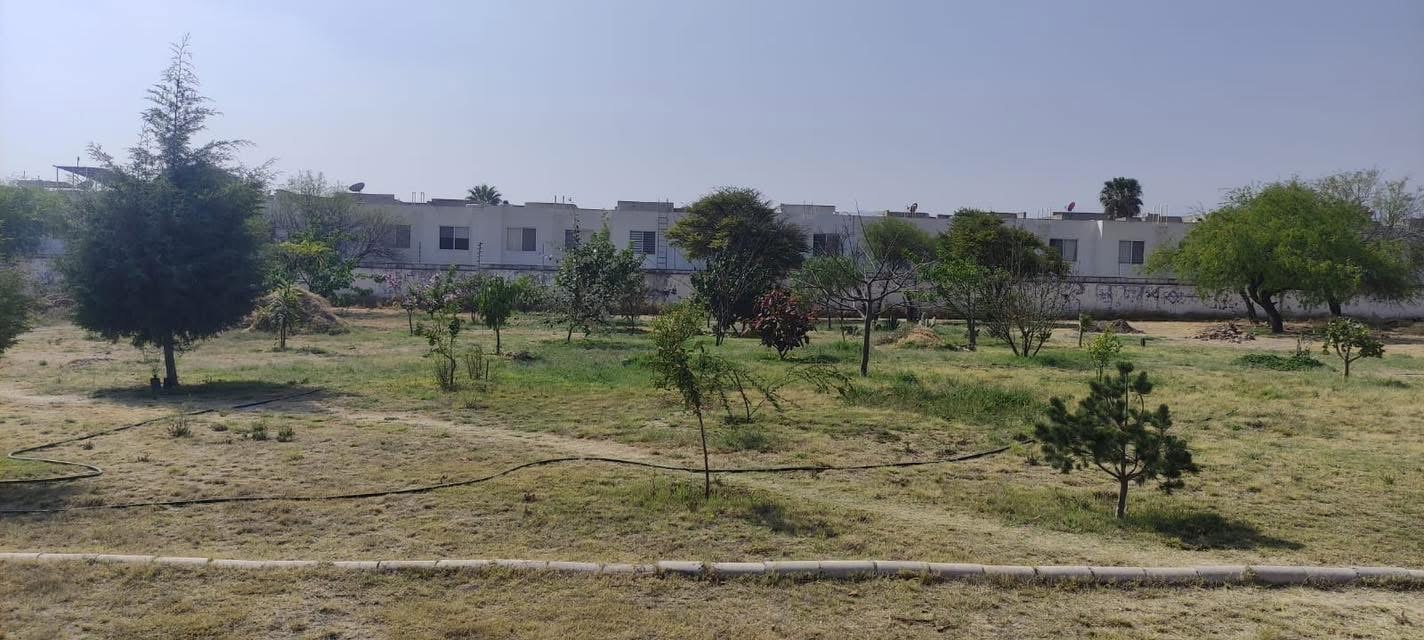 Vecinos de Puerta de Piedra exigen frenar subasta de predio para consolidar Bosque Urbano