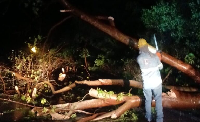 Lluvias dejan daños menores en la Huasteca