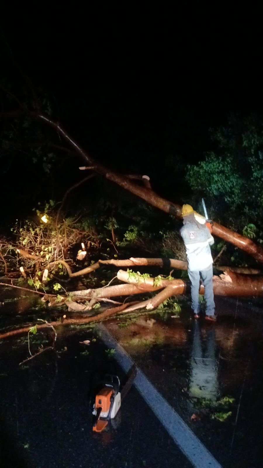 Lluvias dejan daños menores en la Huasteca