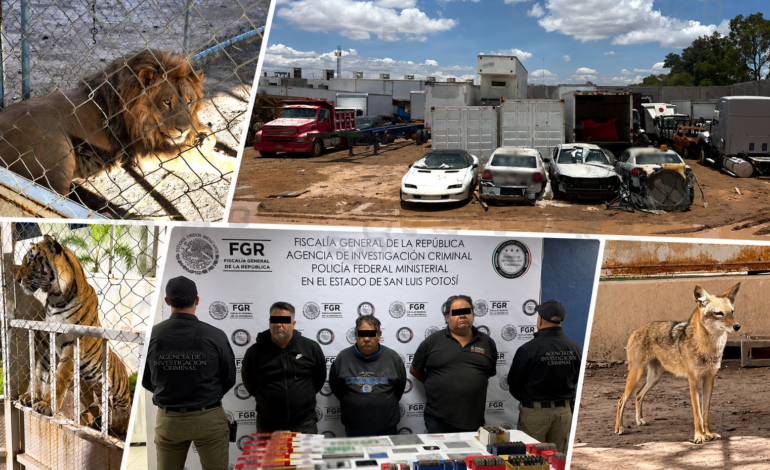 Detienen a tres en Los Gómez con vehículos y neumáticos robados, así como animales exótico