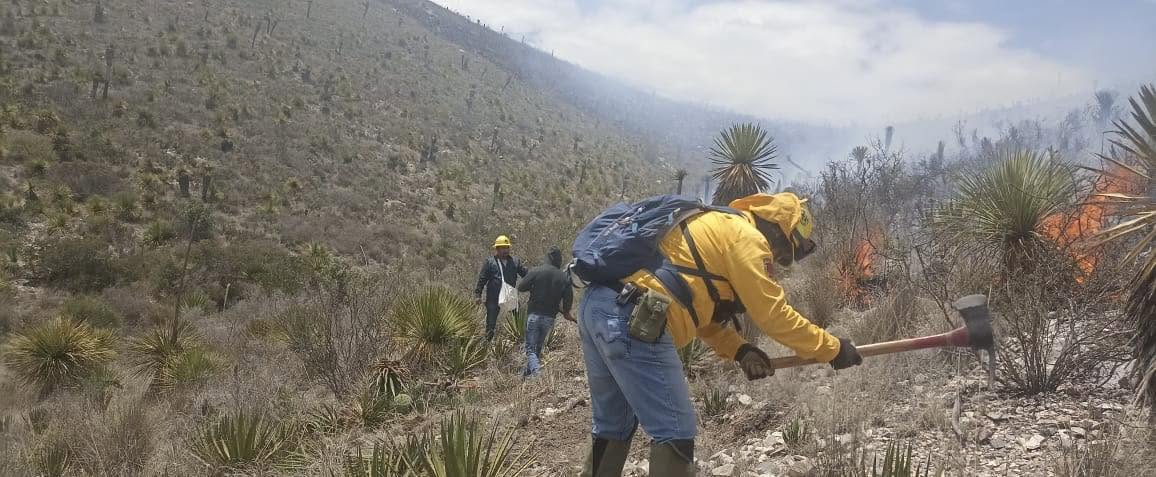 Incendios forestales han afectado más de 23 mil hectáreas en SLP